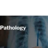 Harvard Thoracic Pathology 2024
