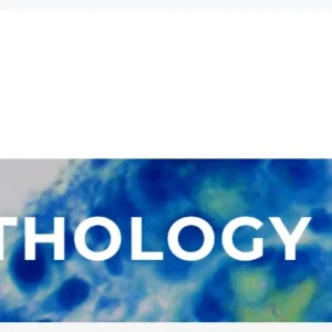 NSH Digital Pathology Certificate Program 2025