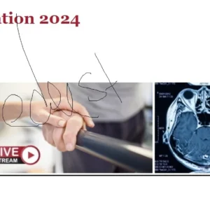 Harvard NeuroRehabilitation 2024